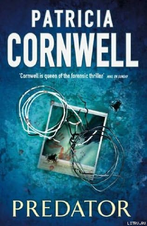 Predator