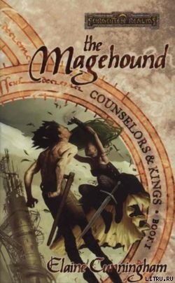 Читать The Magehound