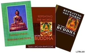 Читать Повторяя слова Будды