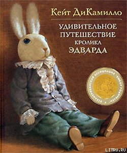Читать Удивительное путешествие кролика Эдварда