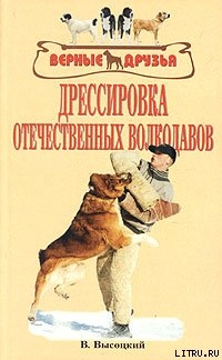 Дрессировка отечественных волкодавов