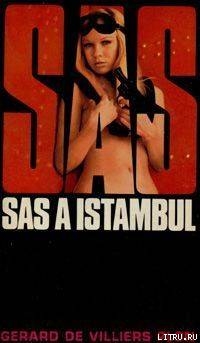 Читать SAS. В Стамбуле