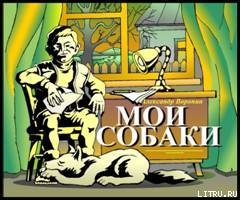 Мои собаки