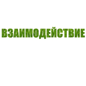 Взаимодействие