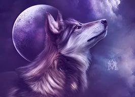 Читать Волчья судьба