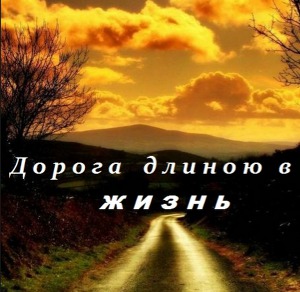 Читать Дорога длиною в жизнь