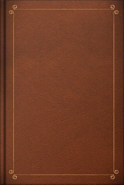 Читать Булавинский бунт. (1707–08 гг.). Этюд из истории отношений Петра Великого к Донским казакам