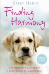 Finding Harmony