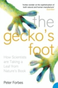 Gecko`s Foot