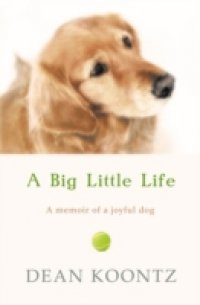 Читать Big Little Life