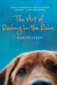 Читать Art of Racing in the Rain