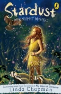 Читать Stardust: Midnight Magic