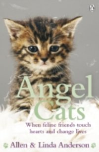 Angel Cats