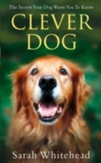 Clever Dog