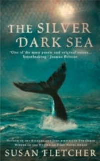 Silver Dark Sea