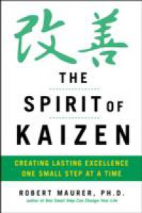 Читать Spirit of Kaizen: Creating Lasting Excellence One Small Step at a Time