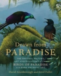 Drawn from Paradise