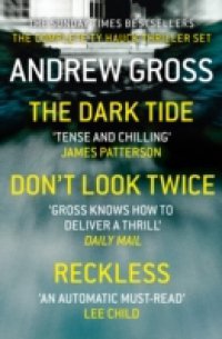 Читать Andrew Gross 3-Book Thriller Collection 1: The Dark Tide, Don't Look Twice, Relentless