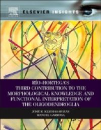 Rio-Hortega`s Third Contribution to the Morphological Knowledge and Functional Interpretation of the Oligodendroglia