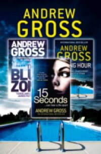 Читать Andrew Gross 3-Book Thriller Collection 2