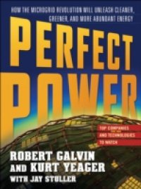 PERFECT POWER: How the Microgrid Revolution Will Unleash Cleaner, Greener, More Abundant Energy