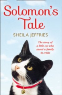 Solomon`s Tale