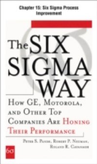 Six Sigma Way, Chapter 15