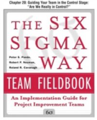 Six Sigma Way Team Fieldbook, Chapter 20