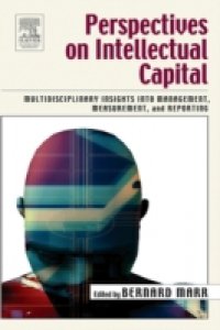 Читать Perspectives on Intellectual Capital