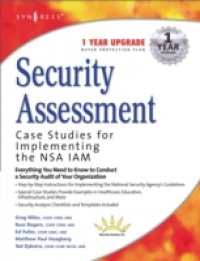 Читать Security Assessment