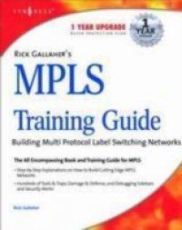 Читать Rick Gallahers MPLS Training Guide