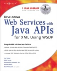 Читать Developing Web Services with Java APIs for XML Using WSDP