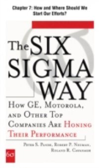 Six Sigma Way, Chapter 7