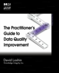 Practitioner`s Guide to Data Quality Improvement