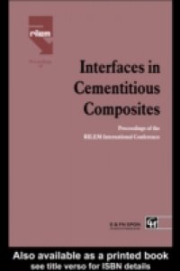 Interfaces in Cementitious Composites