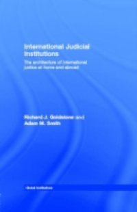 International Judicial Institutions