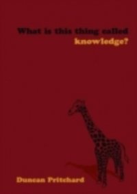 What is this thing called Knowledge?
