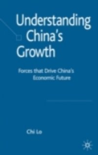 Understanding China`s Growth