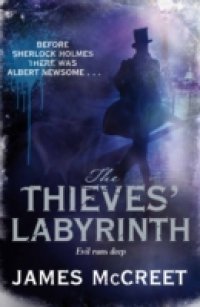 Thieves` Labyrinth