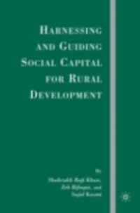 Harnessing and Guiding Social Capital for Rural Development