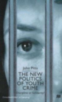 New Politics Of Youth Crime