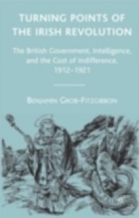 Turning Points of the Irish Revolution