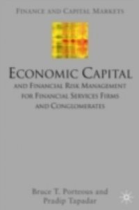 Economic Capital and Financial Risk Management for Financial Services Firms and Conglomerates