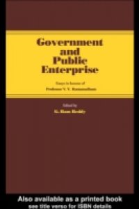 Government and Public Enterprise
