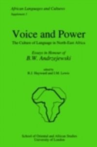 Voice and Power