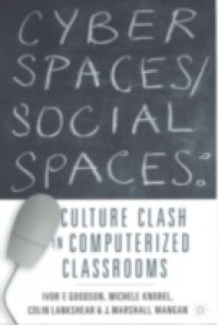Cyber Spaces/Social Spaces