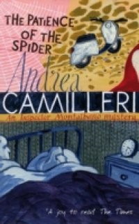Patience of the Spider