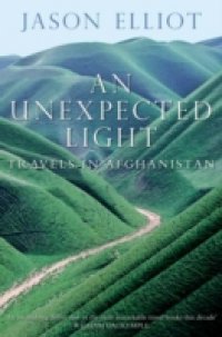 Читать Unexpected Light