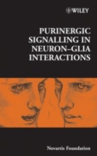 Читать Purinergic Signalling in Neuron-Glia Interactions