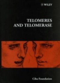 Читать Telomeres and Telomerase